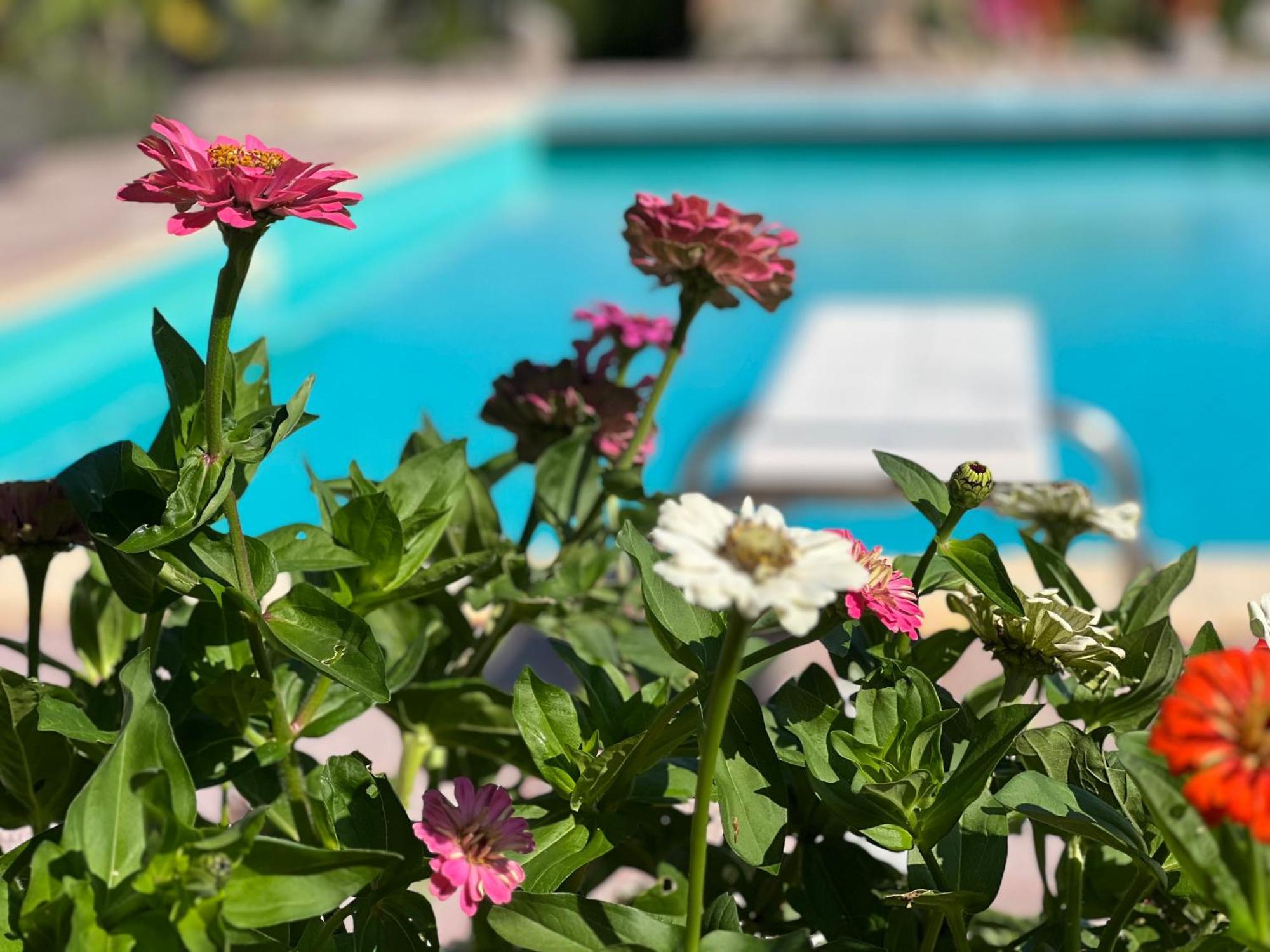 Le Case Di Lisetta Holiday Homes Corciano Exterior foto