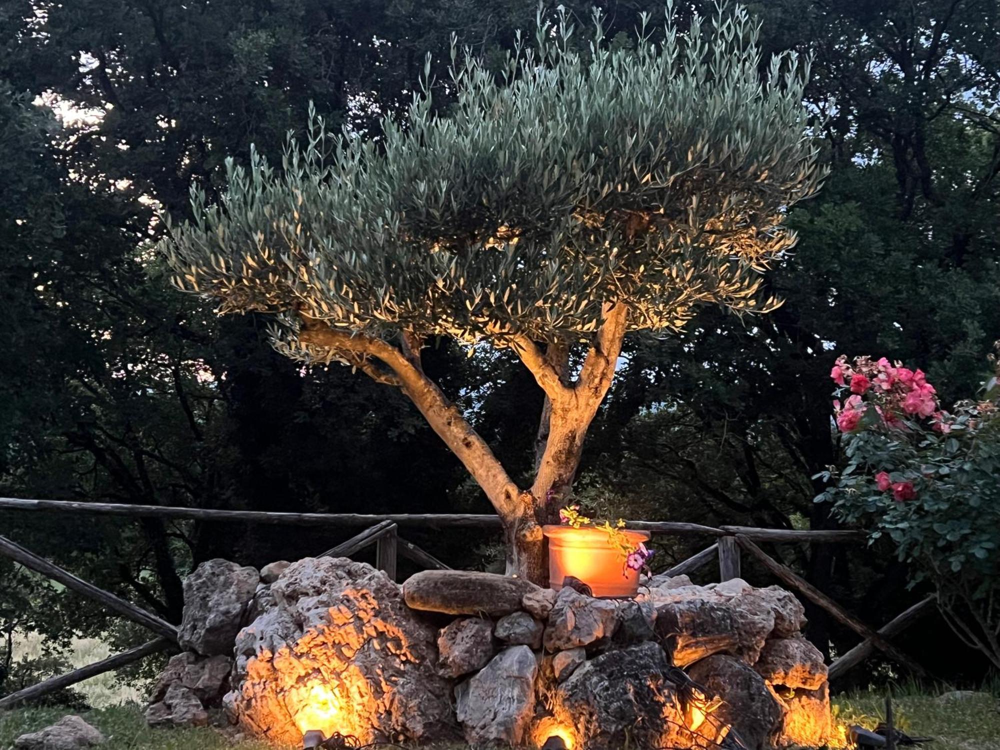 Le Case Di Lisetta Holiday Homes Corciano Exterior foto